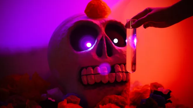 2025_10_25_Dia_de_muertos(2).JPG