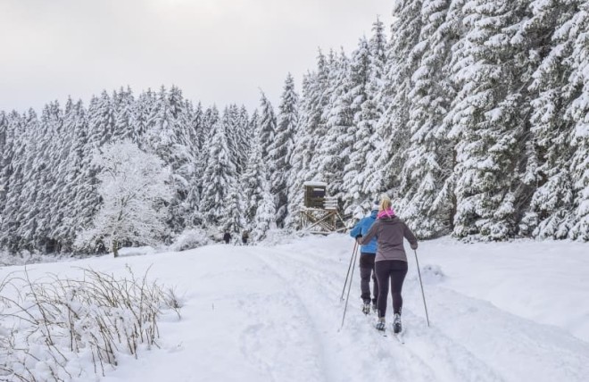 cross-country-skiing-g6bdfa31c3_1920.jpg