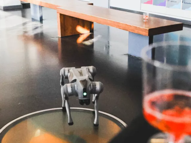 Obr&aacute;zek galerie