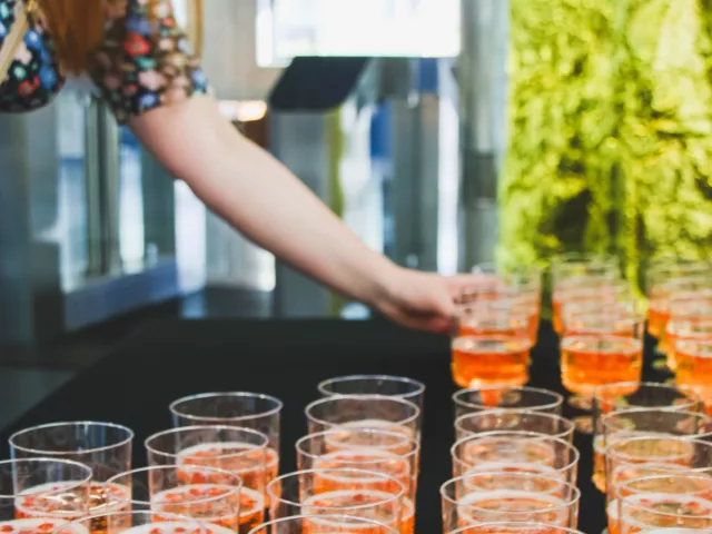 Obr&aacute;zek galerie