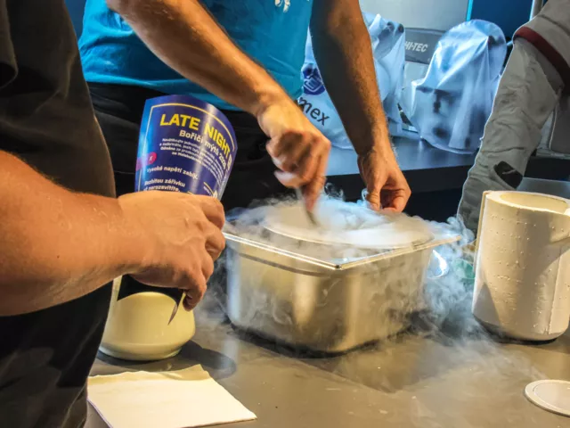 Obr&aacute;zek galerie