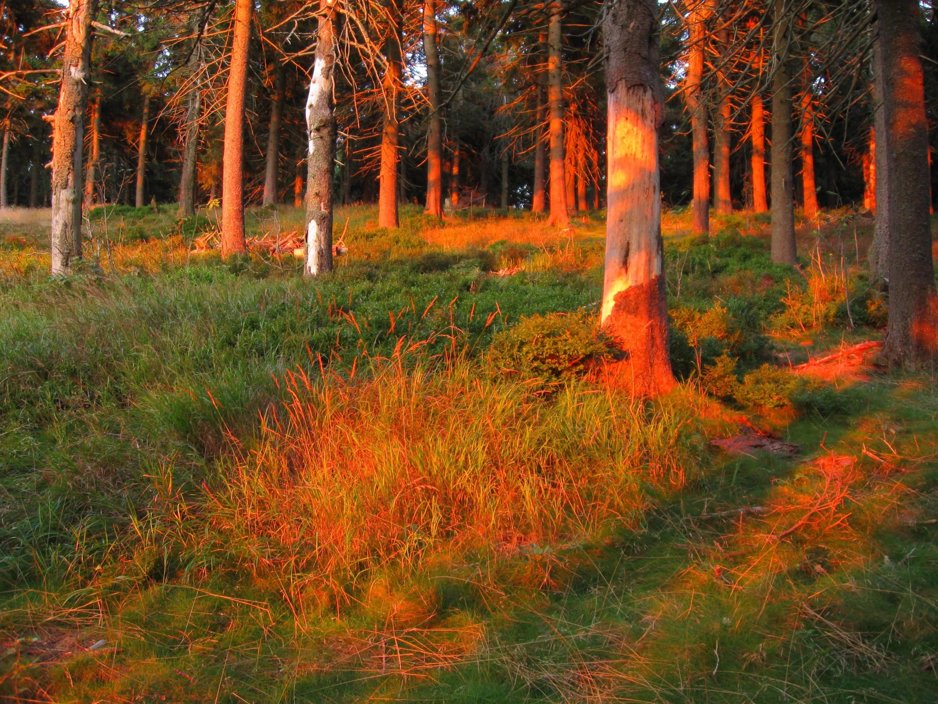 existuji-barvy-iQLANDIA