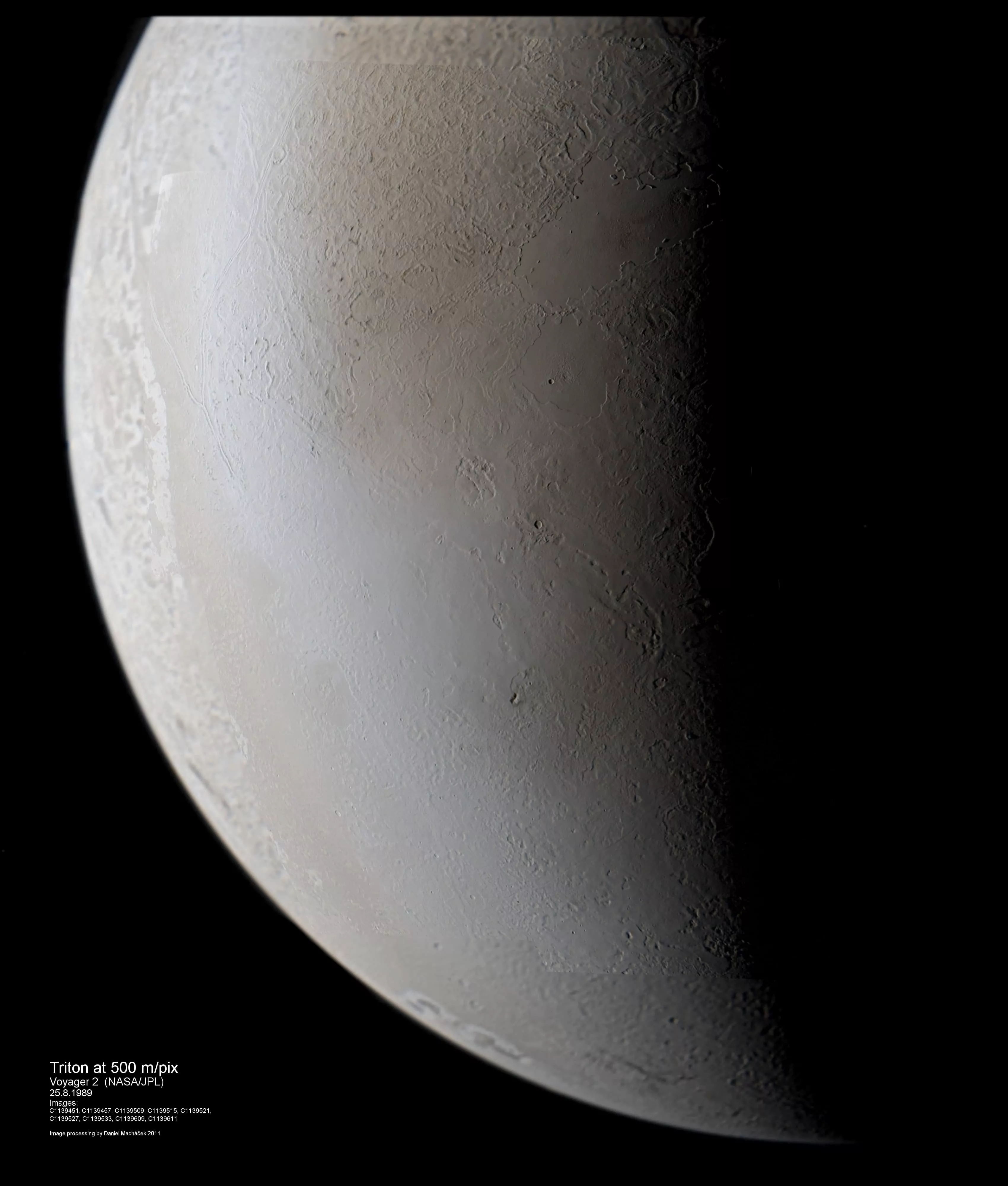 triton macháček.jpeg