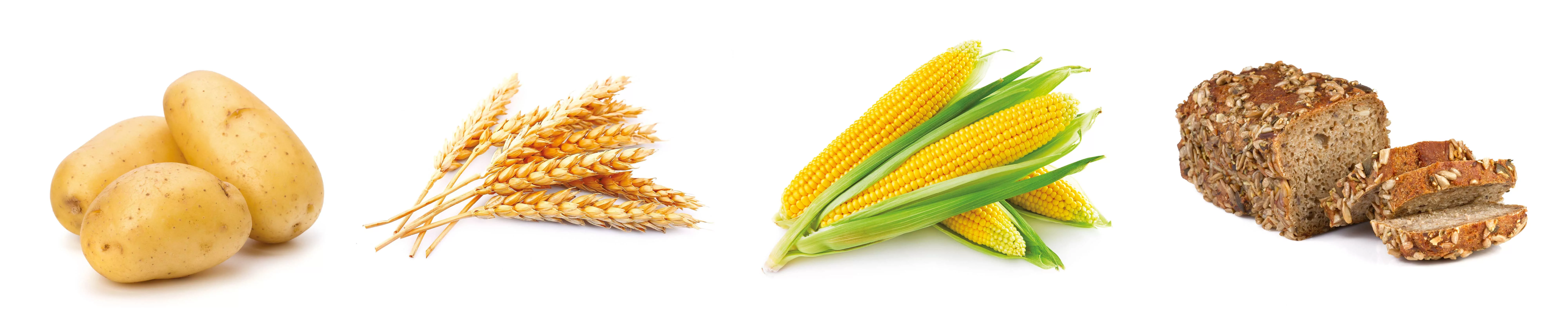 Škrob v potravinách