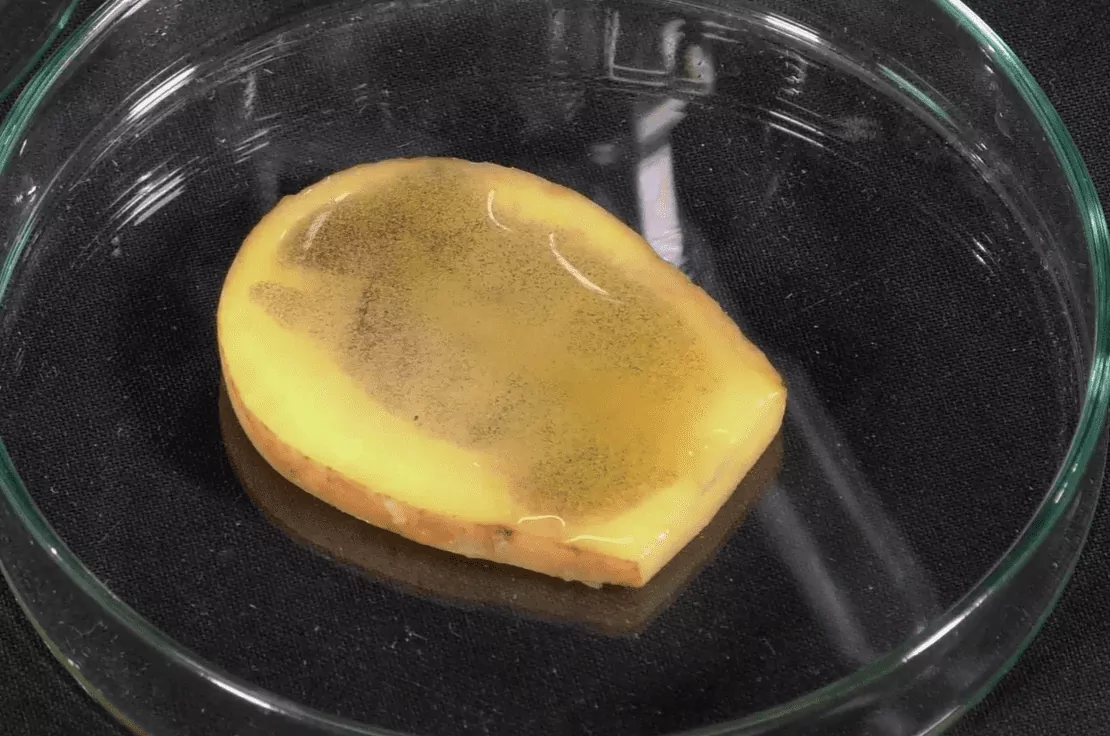 Důkazová reakce škrob